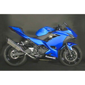 gbNX^[ [VOXbvI}t[ IKAZUCHI XeXJ[{ Ninja250 Ninja400 RSS-015E-L4SC