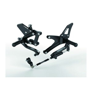 gbNX^[ obNXebvLbg Ninja H2R Ninja H2 BS-H01