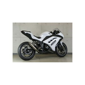 gbNX^[ [VOXbvI}t[ _V[g Ninja250/Ninja300 RSS-015D-02RS