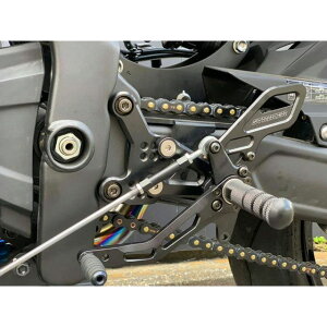 XgCJ[ XebvLbg IvVp[c t`FWLbg Ninja ZX-25R/SE SS-R97064260