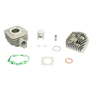 Aei Cylinder Kit ? 40 LUDIX 50 P400420100001