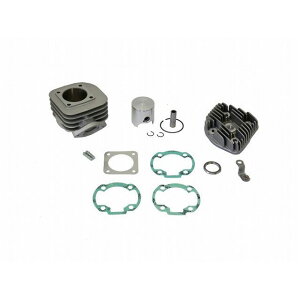 Aei Racing Cylinder Kit With Cylinder Head DIO ZX/GX 50 DIO ZX 50iHORIZONTAL CYL.j P400210100051
