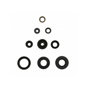Aei Engine OilSeals Kit DT 50 LC / D P400485400050