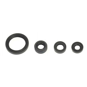 Aei Engine OilSeals Kit DR-Z 125 L DR Z 125 P400510400069