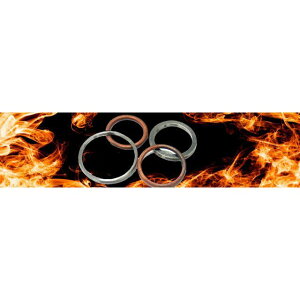 Aei EXHAUST GASKET ėp S410210012081