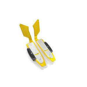 oCJ[Y tApl ADV150 J[ CgS[h/Vo[ H0718-LGD-SLV