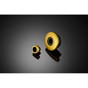 oCJ[Y WFl[^[vO Ninja650/Z650 J[ CgS[h K0379-LGD