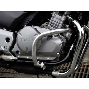 S[h_ XbVK[h X^_[h^Cv GSR250 J[ otdグ SGS18A-1