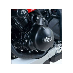 A[AhW[ GWP[XJo[  Street Triple RX RG-ECC0190BK