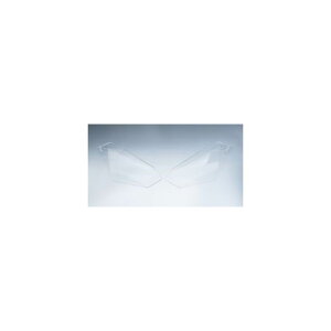 �A�[���A���h�W�[ �w�b�h���C�g�V�[���h CBR1000RR/SP/SP2 RG-HLS0054CL
