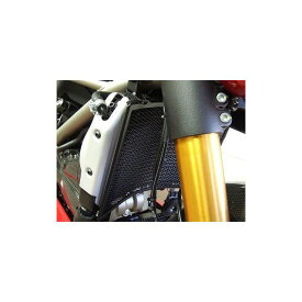 R&G ラジエターガード チタンカラー RG-RAD0075TI アールアンドジー ラジエター関連パーツ バイク ドゥカティその他
