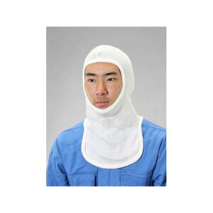 GXR nڗptFCXveN^[ EA370CC-11
