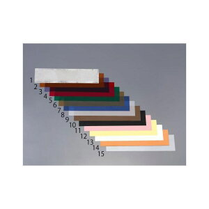 エスコ 0.318mm プラスチックシム(ブラック/10枚) EA440EJ-10