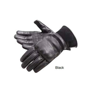 fOi[ 2021-2022H~f FRWG-41 fB[XU[O[uiubNj TCY L FRWG-41