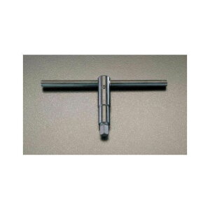 GXR 10mm lp`bNL[T^nh EA613AP-10