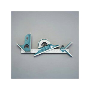 GXR 300mm Rrl[VXNGA[ EA719AS-1