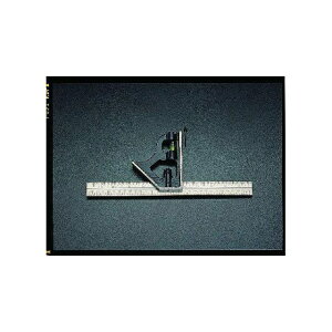 GXR 300mm Rrl[VXNGA[ EA719JC-300