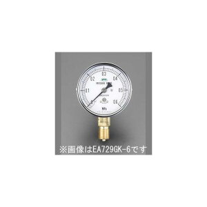 �G�X�R 75mm/0-1.0MPa ���͌v�i�ϖ������`�j EA729GL-10