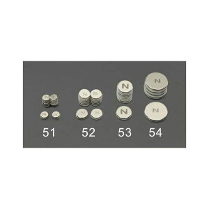 �G�X�R ��6.4x1.5mm �}�O�l�b�g�f�B�X�N�i�S���t/N�ES�e6�j EA781GA-51