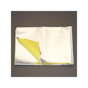 �G�X�R 1.0x1.0m/0.6mm �P�u���[���n�i�ЖʃA���~�j EA911AW-1
