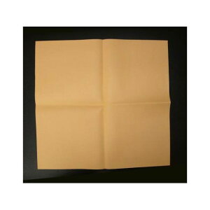 GXR 380x370mm ԃNX EA929DB-90