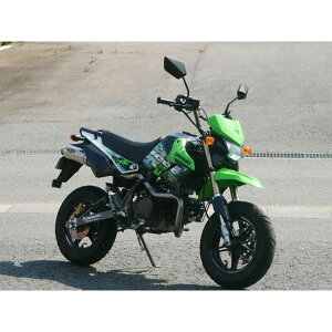 mW} FASARM Mini UP RACING KSR110 NMM641TI-RS