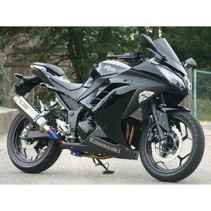 mW} DLC-TITAN tGL][Xg 2-1 Ninja250 NT646GTD-CLK