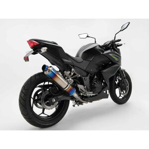 BMS R-EVO XbvI Z250 TCT[ q[g`^ D416-53-P1S