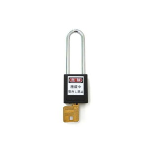 GXR 38mm 싞ibNAEgpEݒ/j EA983TB-54