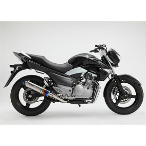 BMS R-EVOESiVOj XbvI JMCA GSR250 TCT[ q[g`^ G324-53-P1J
