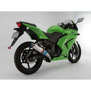 BMS R-EVOXbvI JMCA Ninja250R TCT[ q[g`^ G409-53-P1J