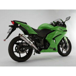 BMS R-EVOXbvI JMCA Ninja250R TCT[ XeX G409-53-P6J