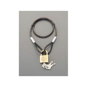 GXR 4.3x 540mm C[bNiV_[j EA983TT-41