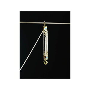 GXR 250kg/3m [vzCXg EA987CG-1