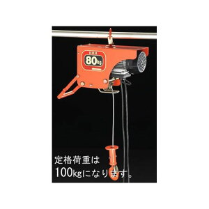 GXR AC100V/100kgx10m dCzCXg EA987DB-2