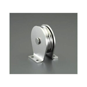 GXR 100mm c^Œ芊ԁiXeXj EA987SR-55