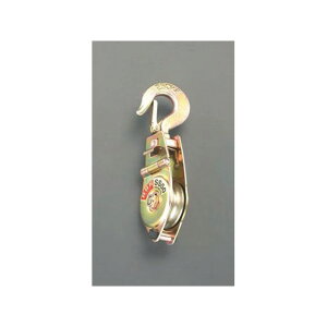 GXR 50mm/250kg  ԁitbNtj EA987HB-1