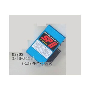 ASEI^j Rg[jbgiZEPHYR1100j E05308