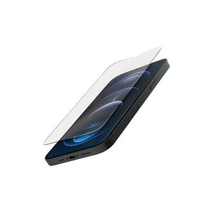 NAbhbN XN[veN^[ - iPhone 12 Pro Maxp ANX-GSP-IP12PRM
