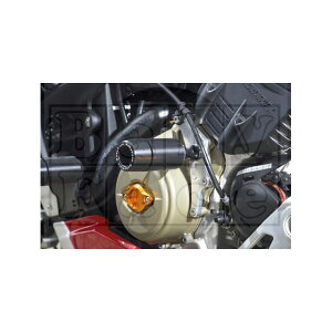 xr[tFCX GWXC_[ StreetFighterV4 006-SD019