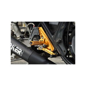 �x�r�[�t�F�C�X �o�b�N�X�e�b�v�L�b�g ���V�t�g Z1000J/1100GP�� �J���[ �S�[���h 002-K032GD