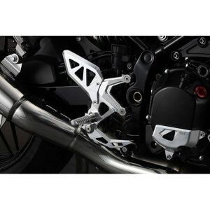 アエラ ライディングステップキット Z900RS / Z900RS CAFE カラー ホワイト AE-10093 WT