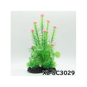 At@ebN XL-SC3029 n  P[W P[X CeA I[ig ANZT[ IuWF I[ig WI} CAEg  u Ϗ܋ ঒ Mы XL-SC3029