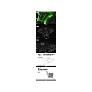 �f�B���[�e�B�u �J�[�{���v���e�N�g�p�b�h H2SX H2SX DI-BCPP-H2SX-19