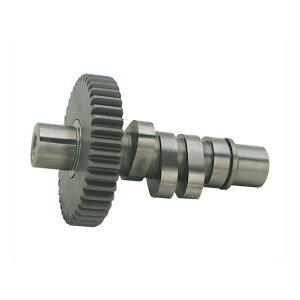 GXGX SS H-GRIND {gCJVtg 58-69y BTp E020363