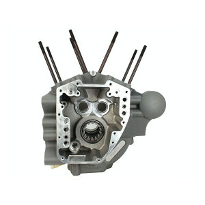 GXGX X[p[XgbN T2NNP[X CVO110 07-16y FL E024130