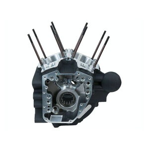 エス&エス クランクケースAssy ストックボア 06-17ダイナ WB ・024175