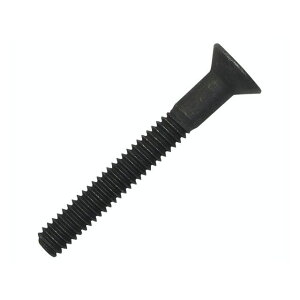 GXGX IC|vXN[BK 1/4-20 x 2h TC88 E024575