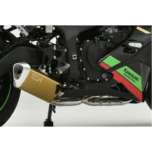 ���}���g���[�V���O ZX-25R SPEC-A �`�^�� 4-2-1 TYPE-SA �S�[���h ZX-25R 40256-21SAG