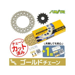 �Z�b�g���i KS40613 �`�F�[�����T���X�^�[ �X�v���P 3�_�Z�b�g�i�S�[���h�j ZRX400/II KS40613